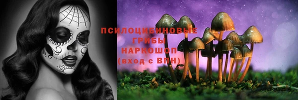 a pvp Михайлов