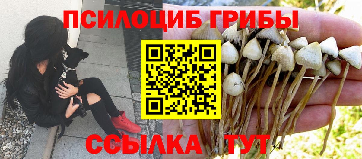 Галлюциногенные грибы Psilocybine cubensis Добрянка