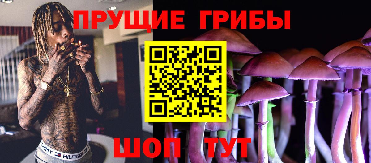 Галлюциногенные грибы ЛСД Добрянка